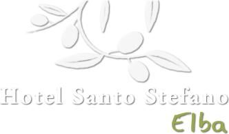 Hotel Santo Stefano